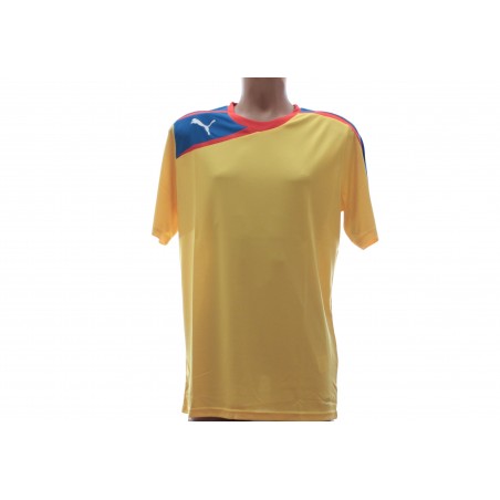 Tricou Puma Spirit Romania